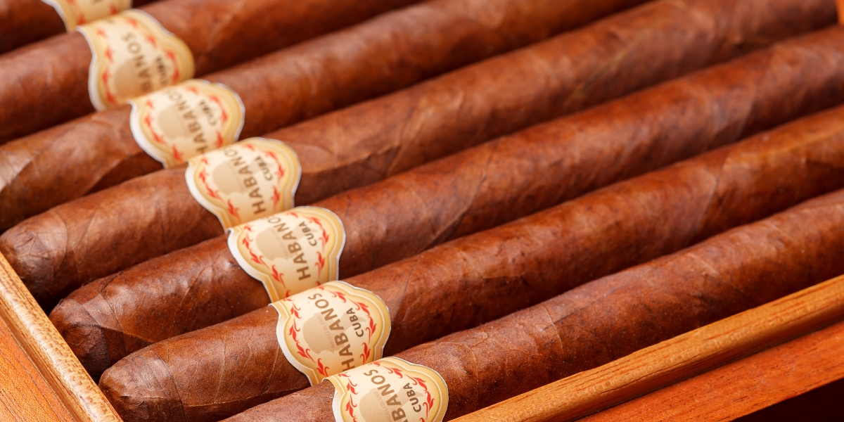 Gallery The Cigar Diary