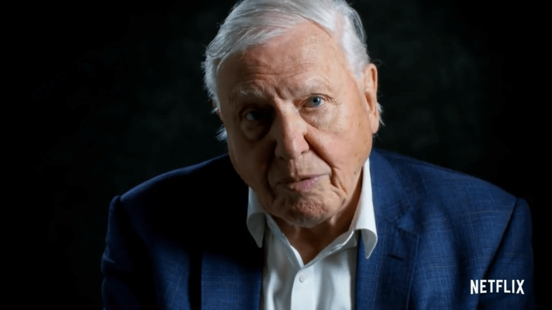 David Attenborough's Marriage / Wife David Attenborough