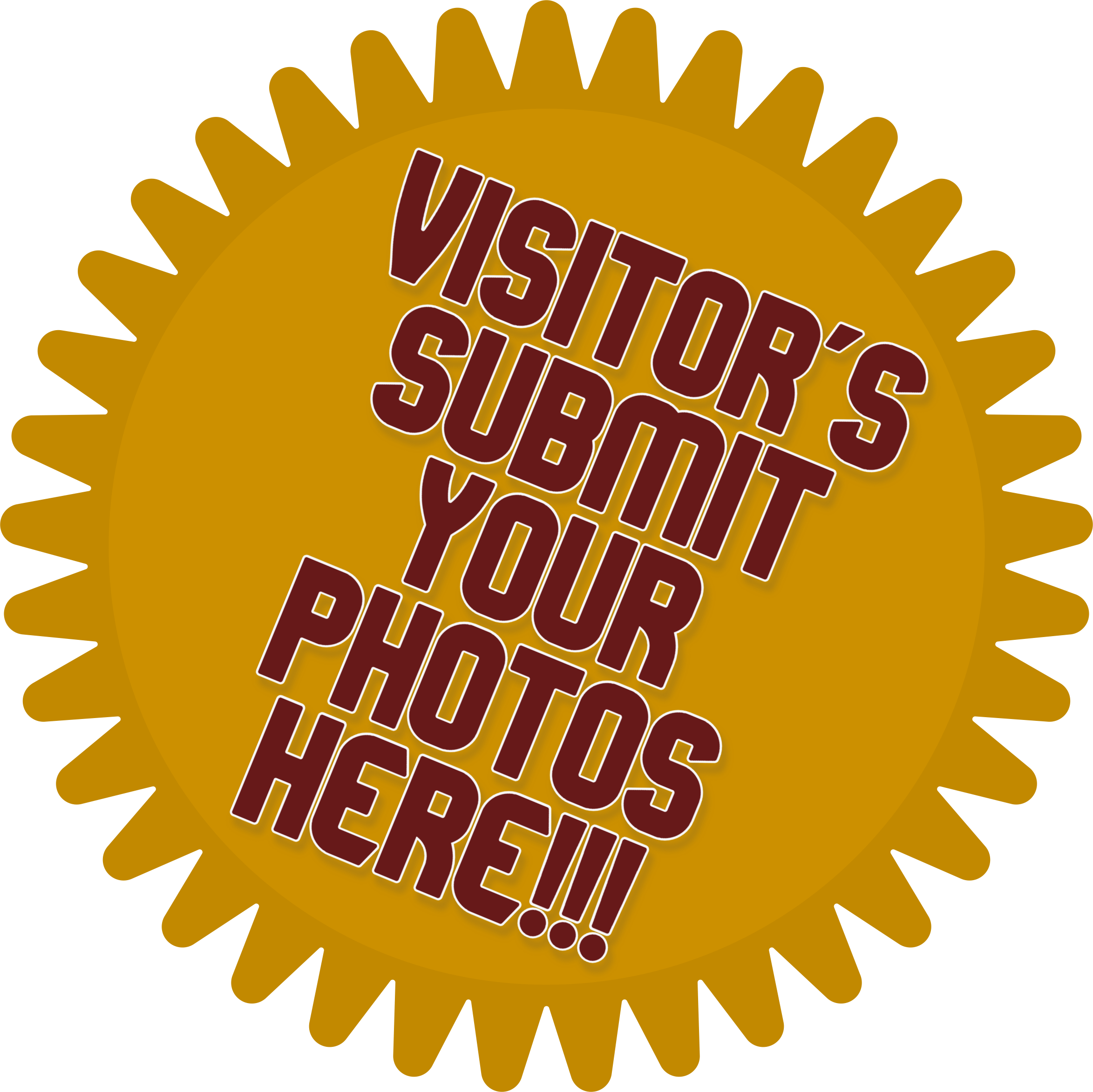 mountain laurel festival 2023 Home City of Pineville