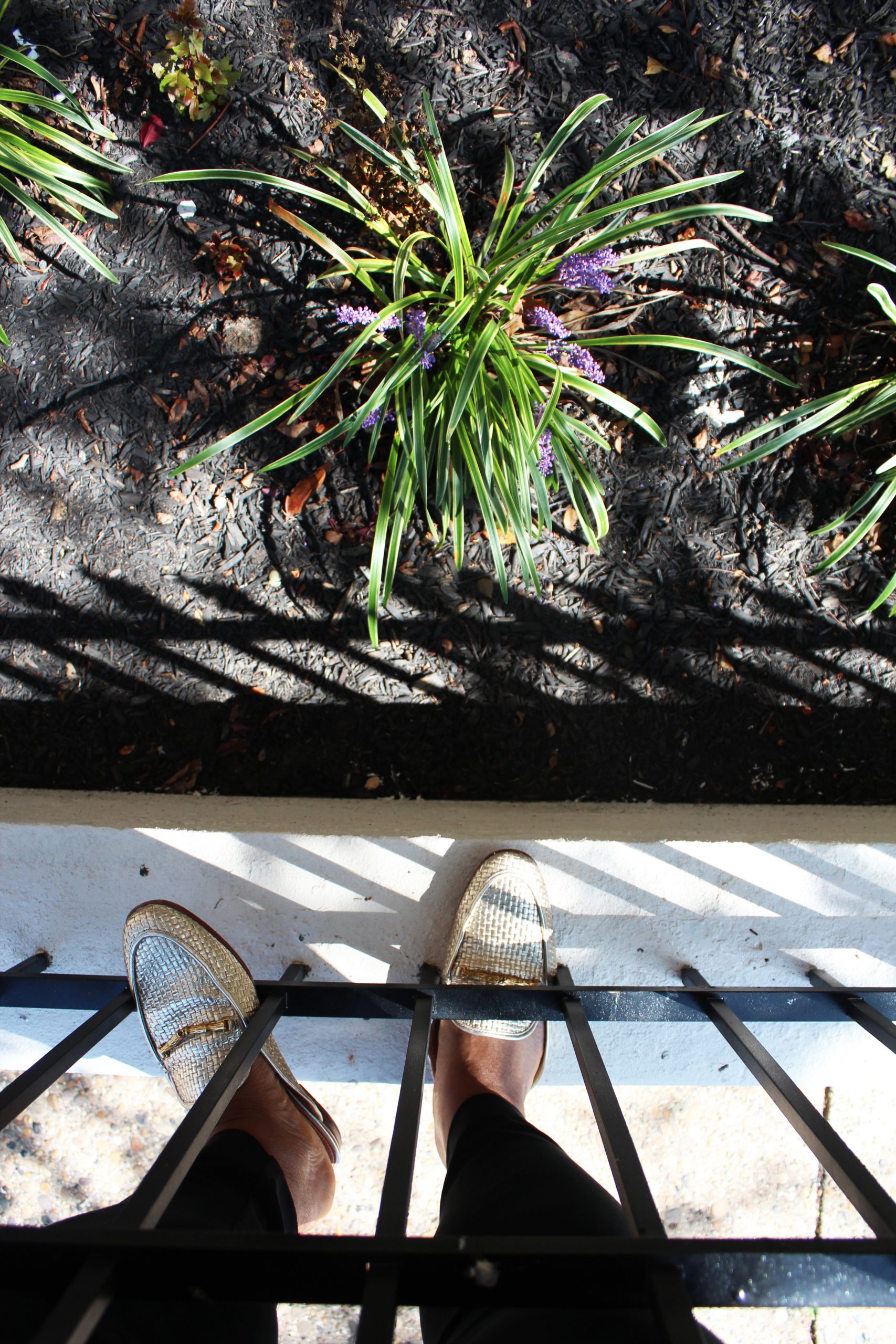 Slides vs. FlipFlops The Classic Editrix by Megan Cuadrado