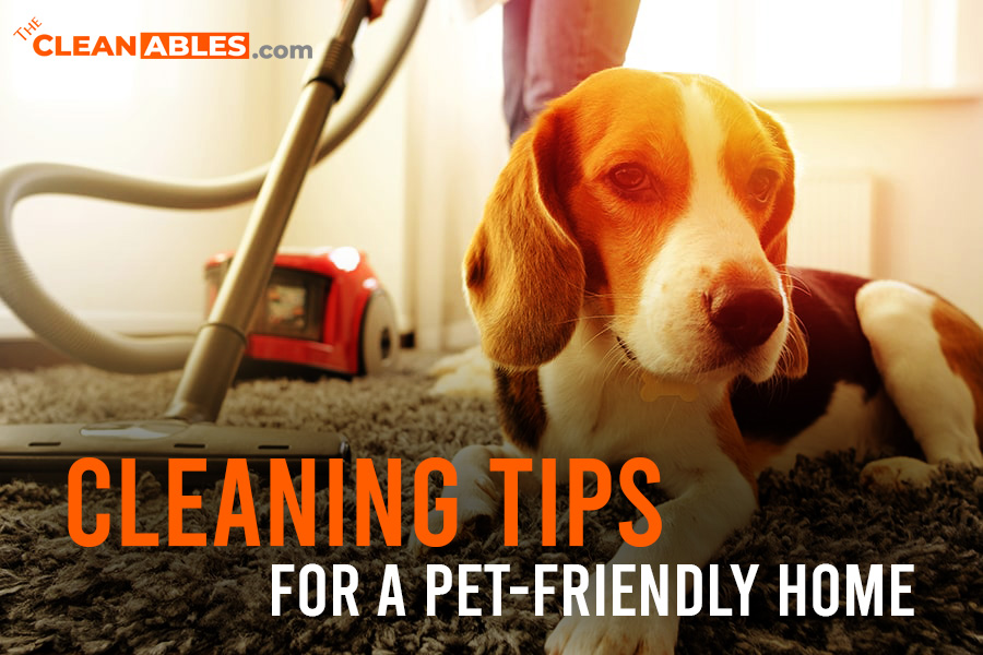 Cleaning tips for petfriendly home The Cleanables