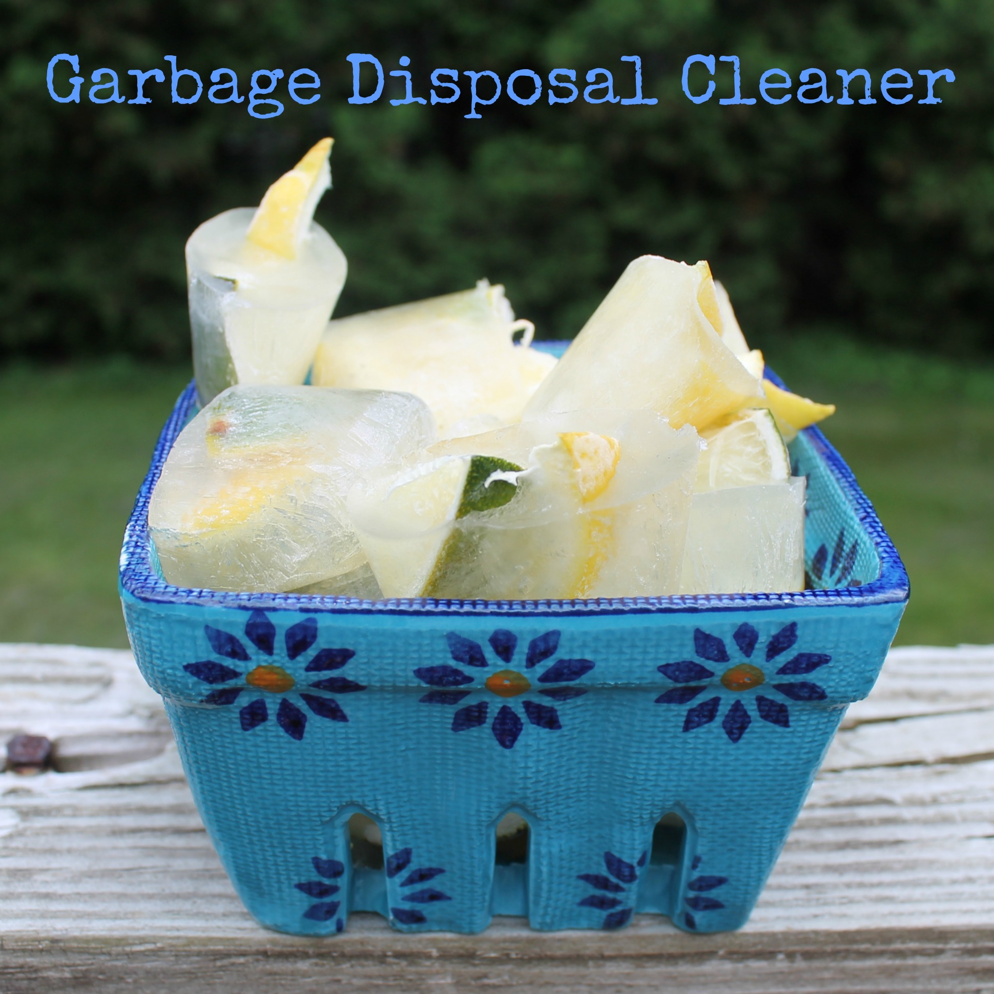 Garbage Disposal Cleaner The Clean Cooks