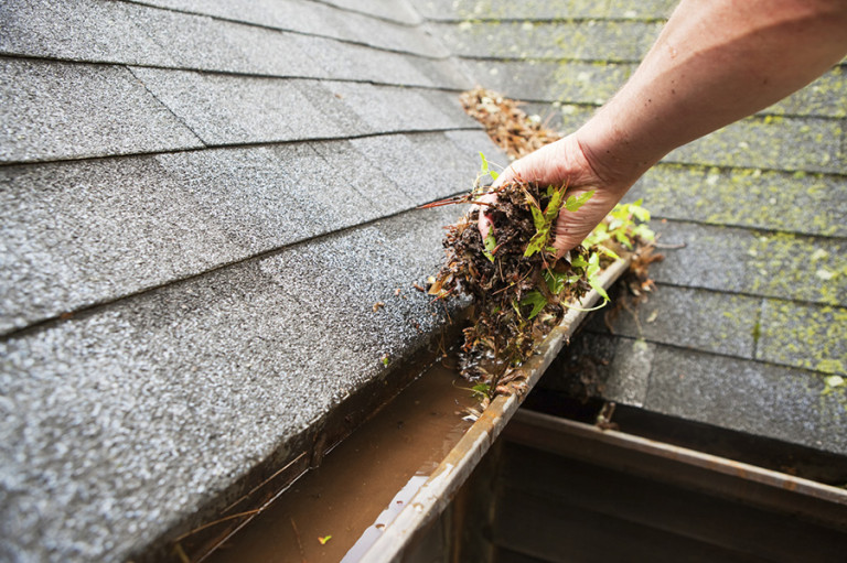 Gutter Cleaning The Cleaning Crew, LLC