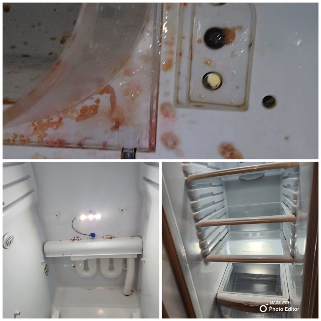 Kitchen Cleaning The Cleaning Queen LLC