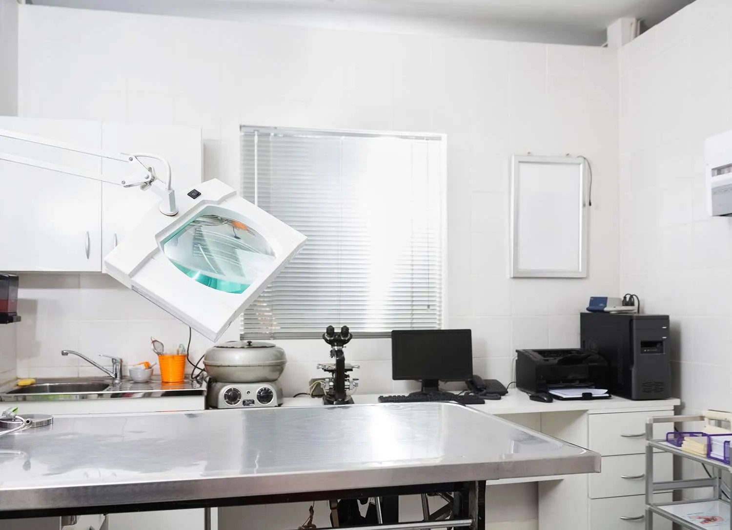 Veterinary Cleaning Services in the UK The Clean Space