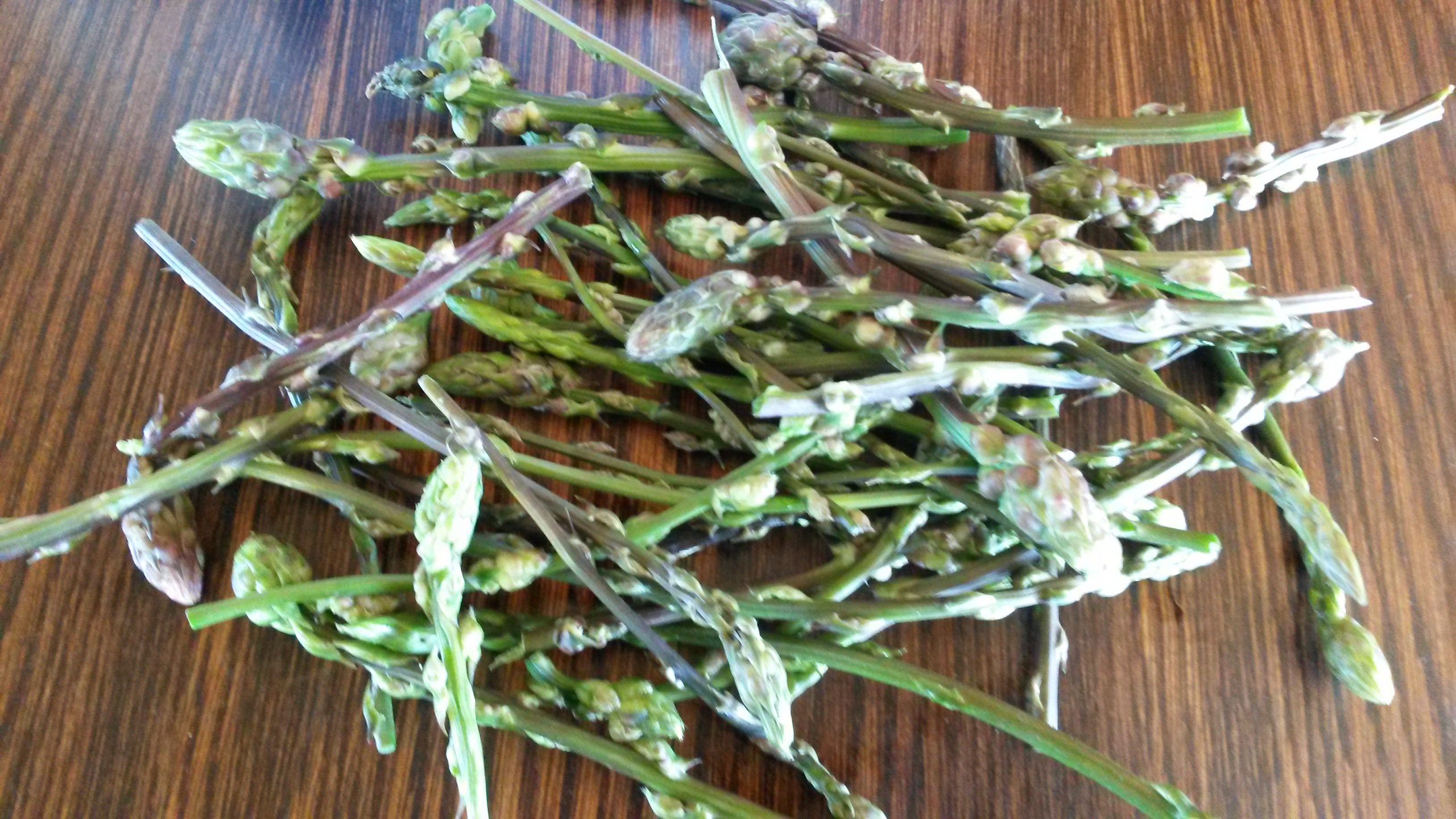 Informative and innovative ways of learning about edible local produce