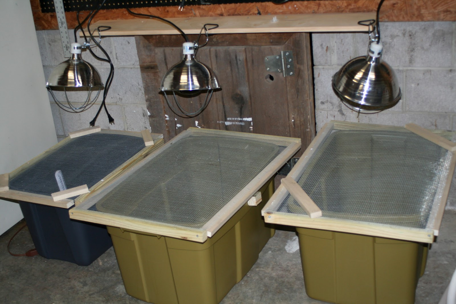 20 Best Diy Brooder Box Home, Family, Style and Art Ideas