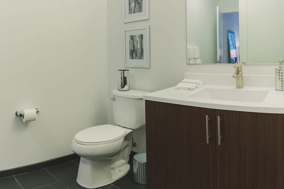 Gallery The Cobalt Apartments