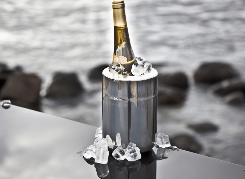 What's the Best Single Bottle Wine Chiller? The Cocktail Bird