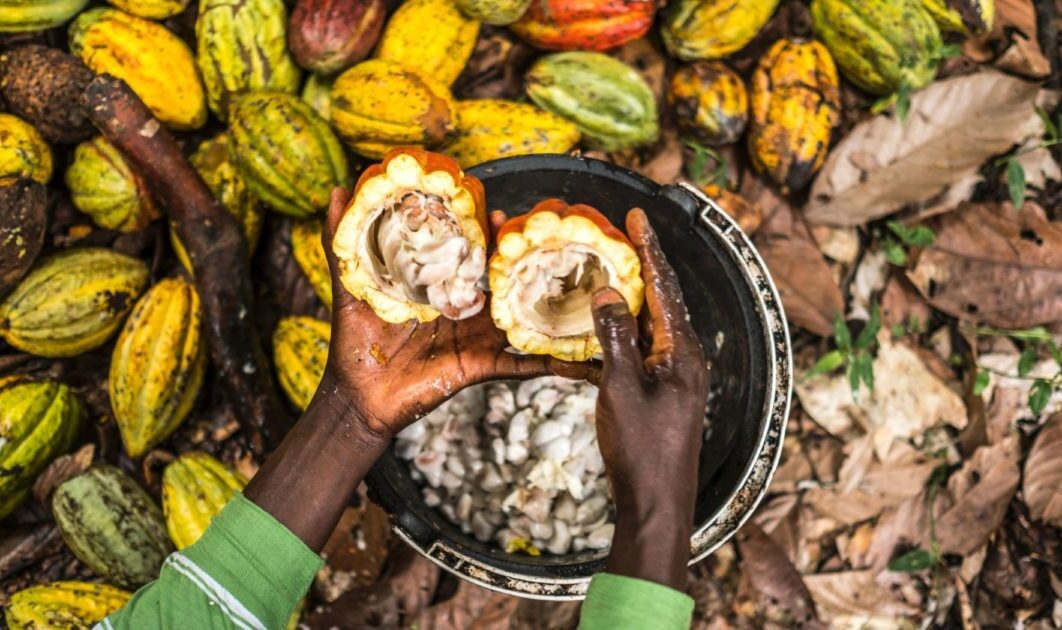 Cocoa Abrabopa Gets Support To Promote Human Rights In Communities