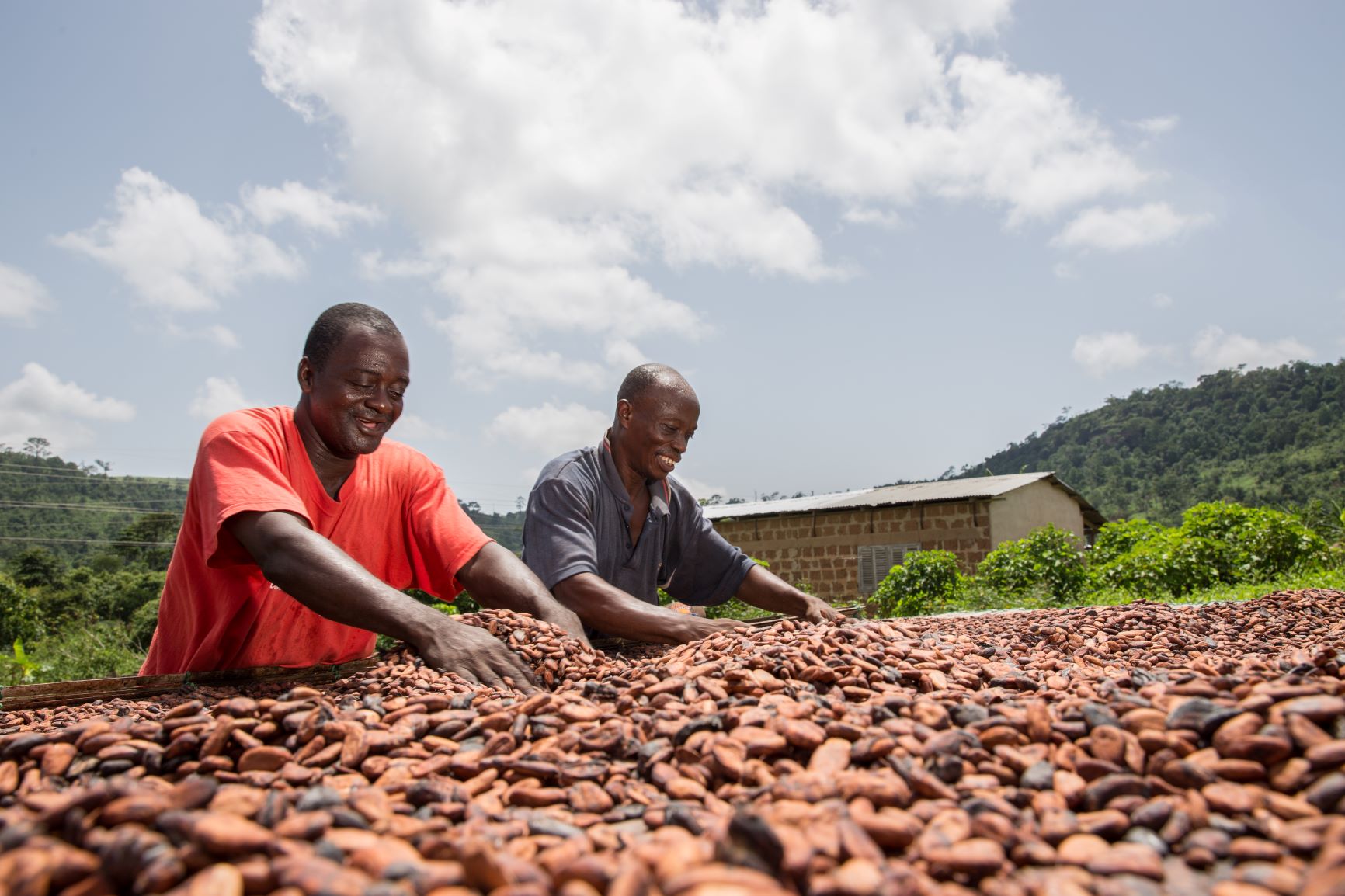 Cocoa Value Chain Remains Critical To Economy