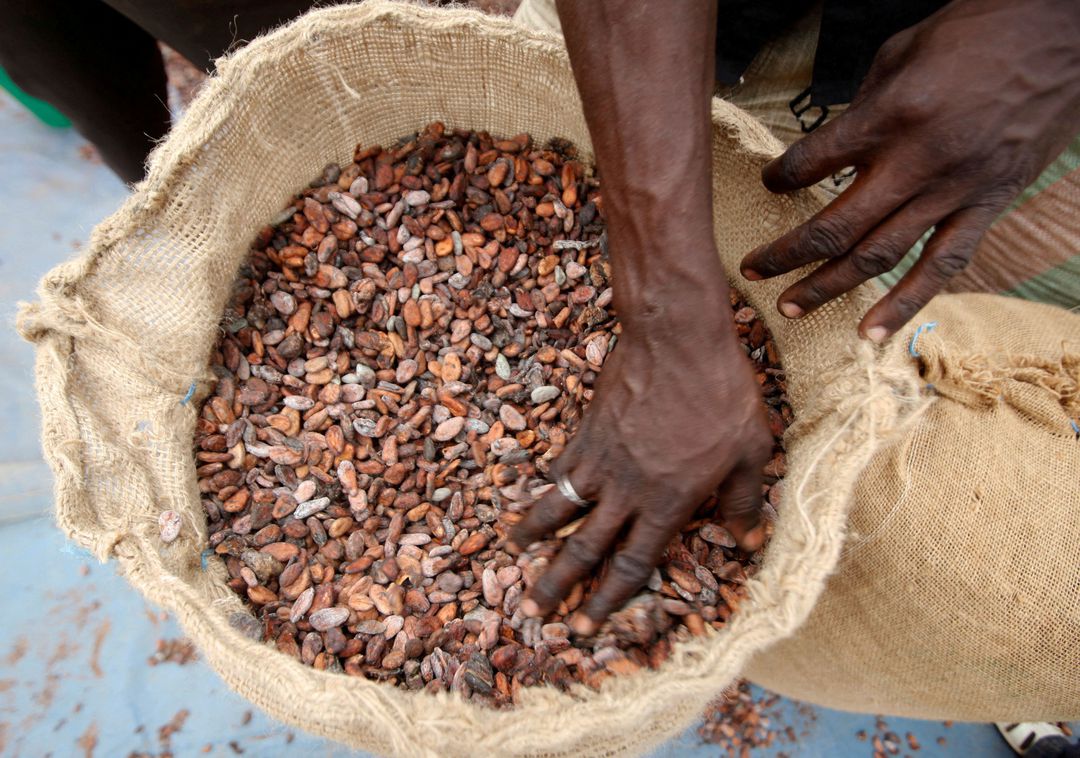 Ivory Coast Increases 2022/23 Cocoa Producer Price By 9