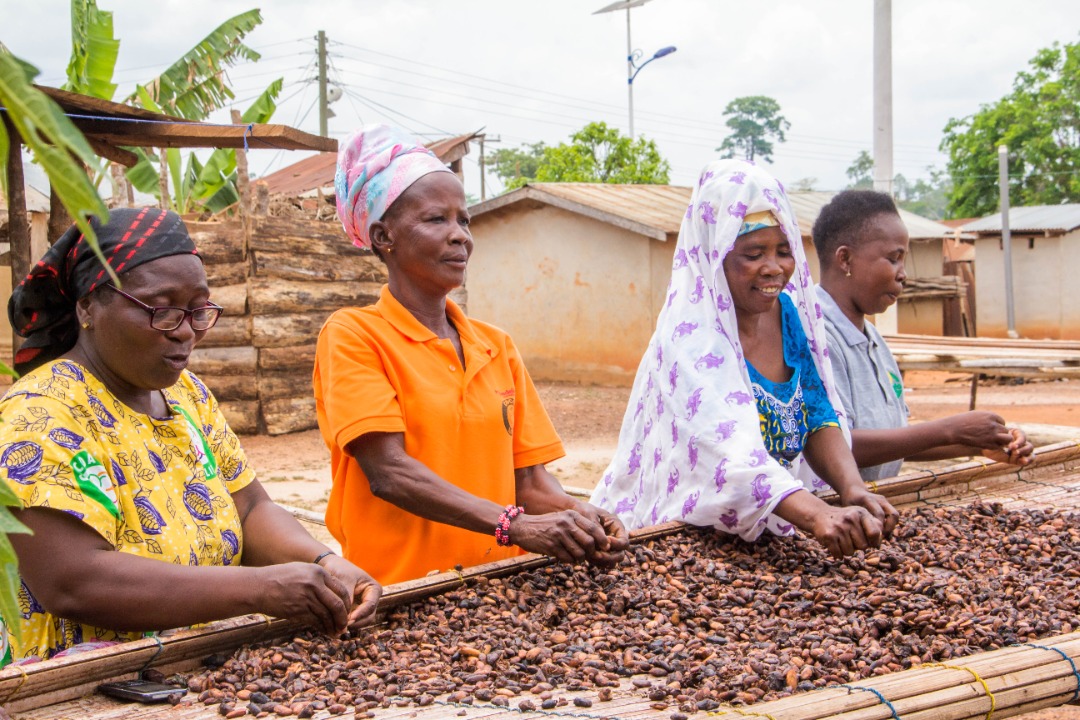 Mondelez To Invest Extra 600 Million In Cocoa Sustainability