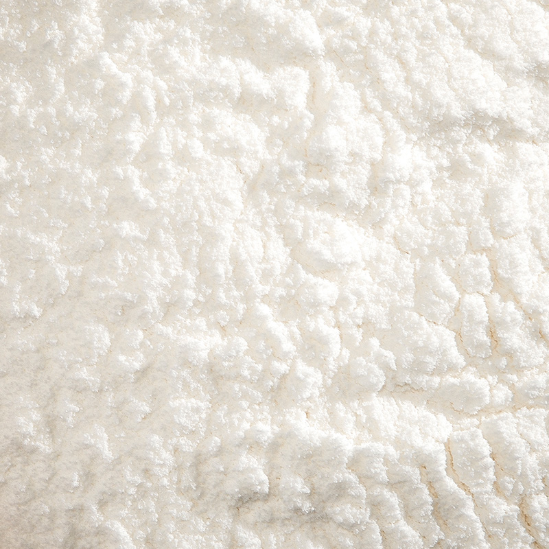 Organic Coconut Milk Powder Vegan, Dairy Free Bulk Coconut CoOp