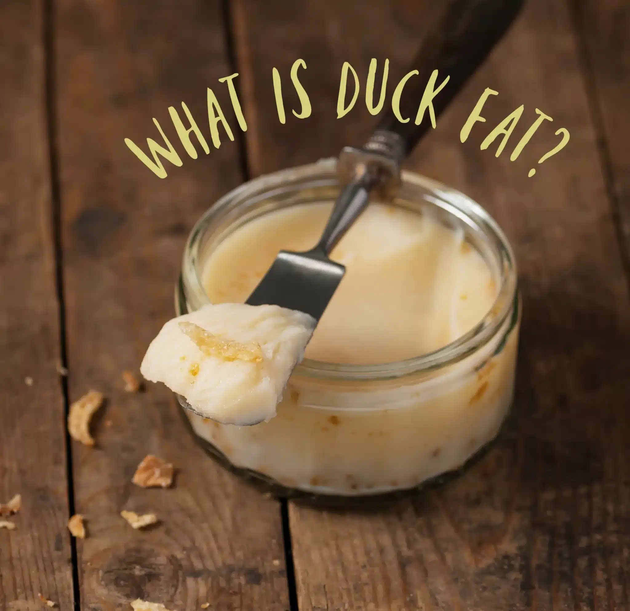 What Is Duck Fat? The Coconut Mama