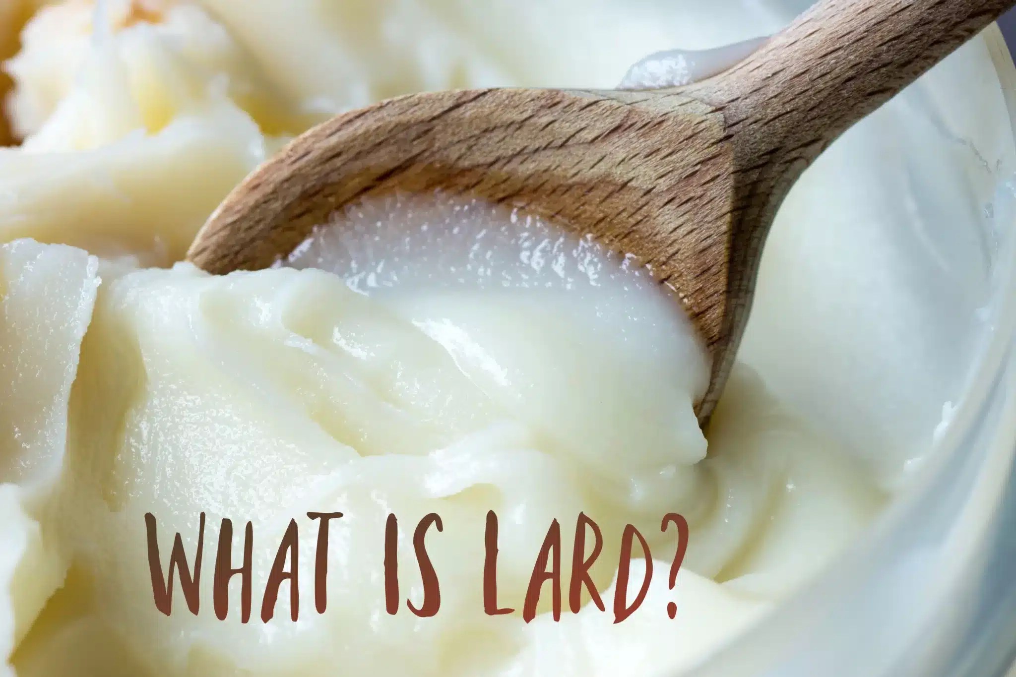 What Is Lard? The Coconut Mama