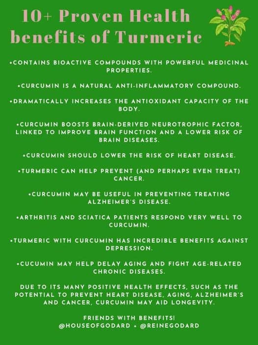 Handmade with love Organic Turmeric Balls from House of Godard The