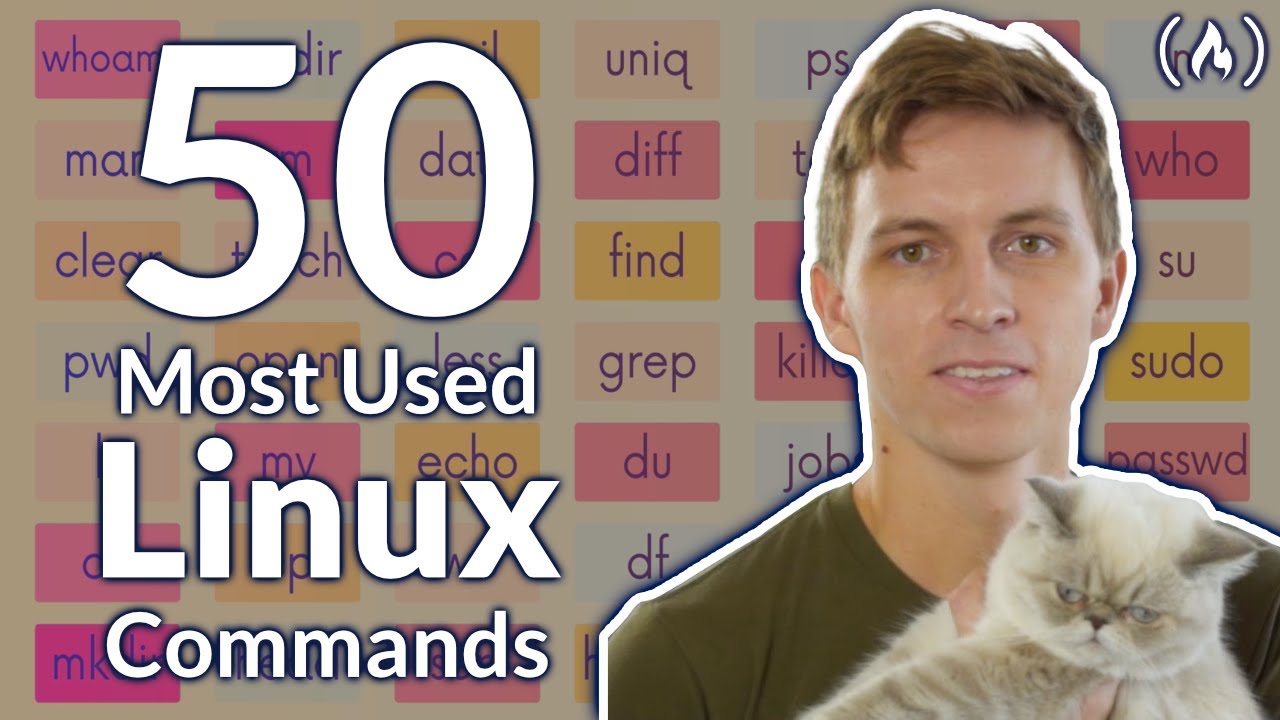 The 50 Most Popular Linux & Terminal Commands Full Course for