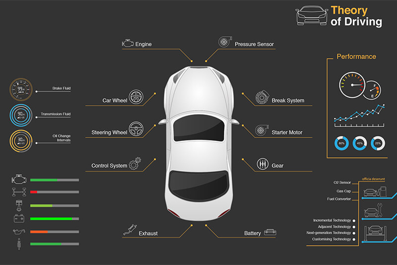 Test Drive How to Pass the Theory Exam The Codpast