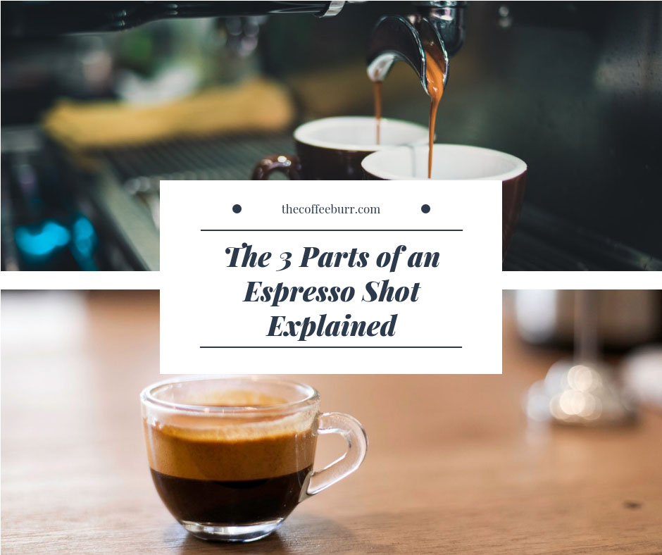 The 3 Parts of an Espresso Shot Explained