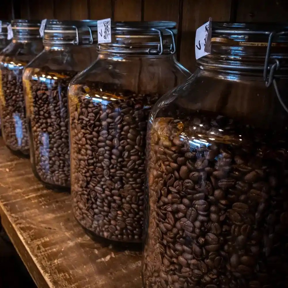 Does Coffee Lose Caffeine Over Time? The Coffee Guru