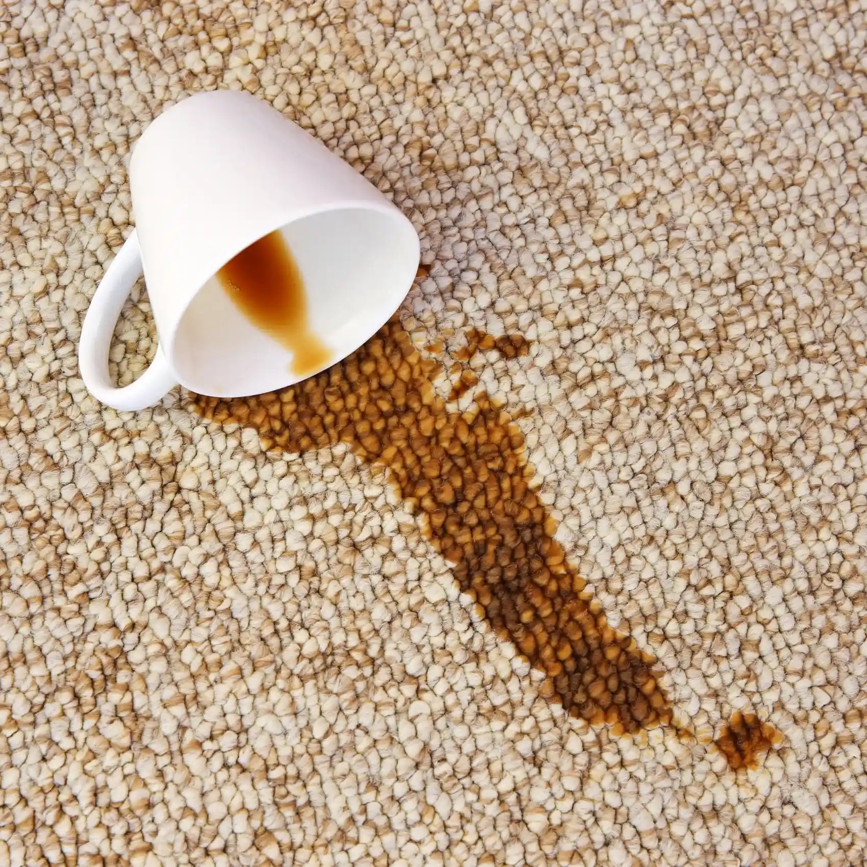 How To Get Coffee Stains Out Of Carpet Expert Solutions & Tips