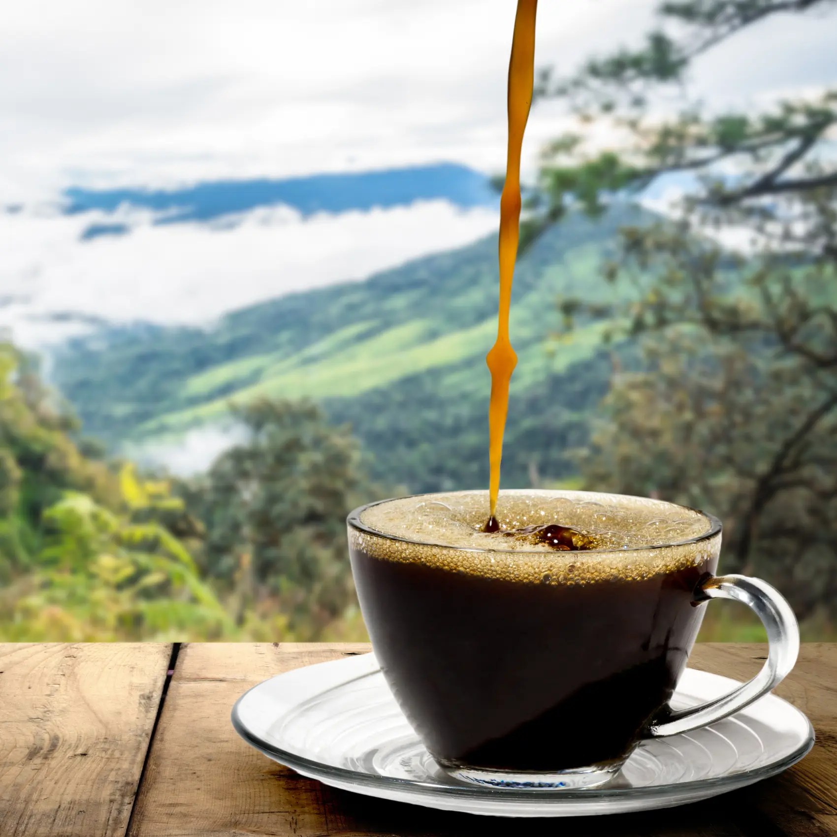 Single Origin vs. Blend Coffee Tracing the Origins of Your Coffee Beans