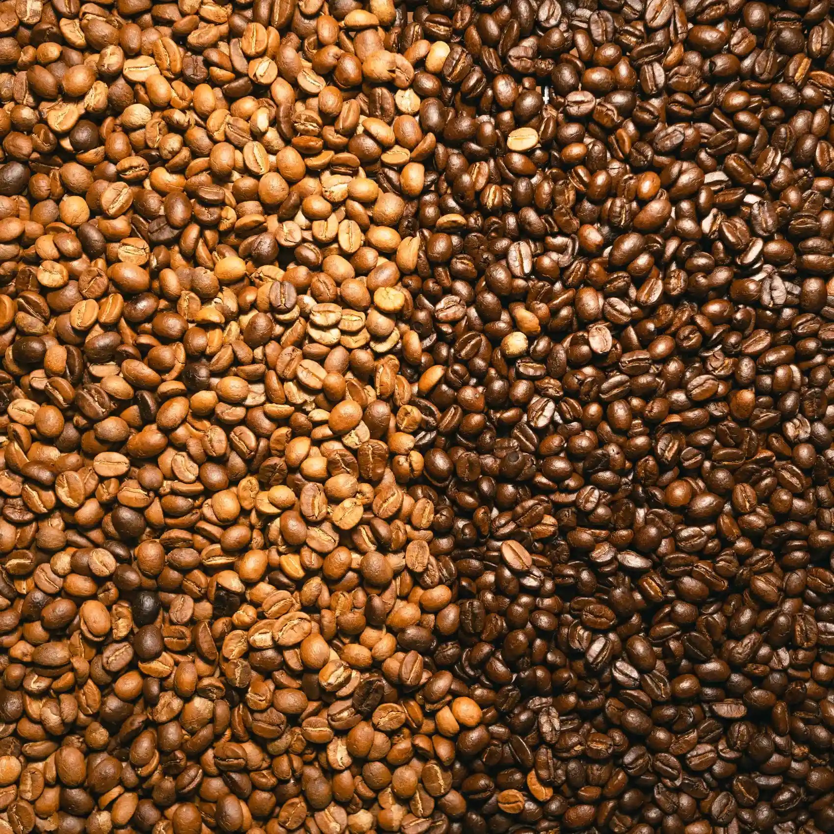 Light Roast vs Dark Roast Coffee Exploring the Key Differences