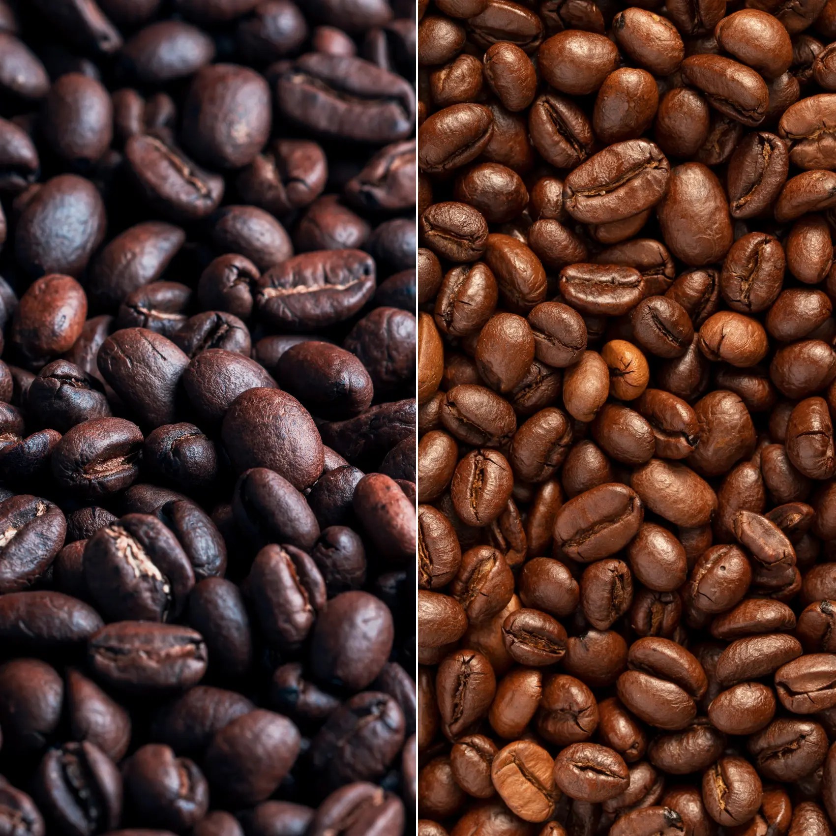 Dark Roast vs. Medium Roast Coffee Exploring Flavor, Aroma, and