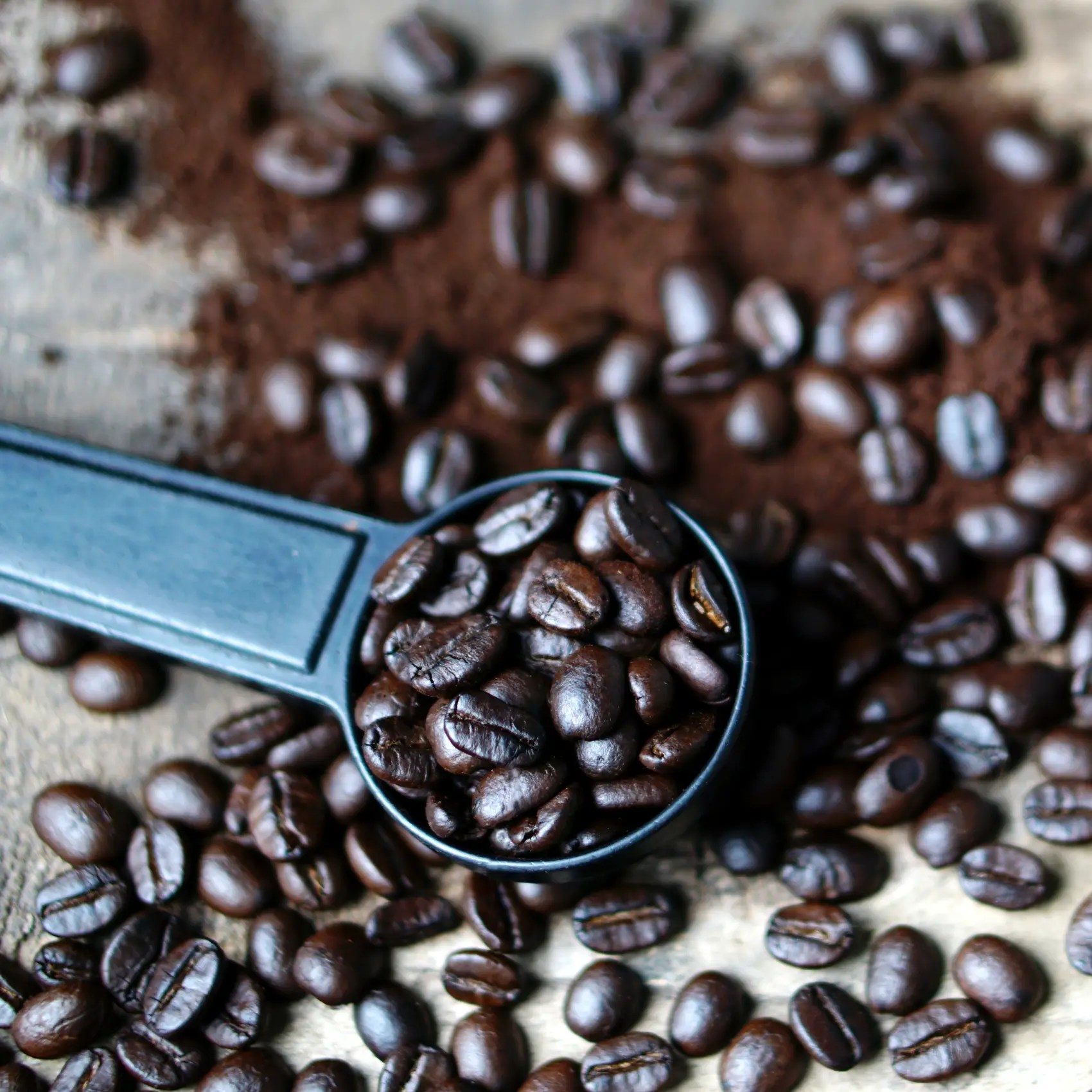 What is Full City Roast Coffee? Exploring Roast Levels for Your