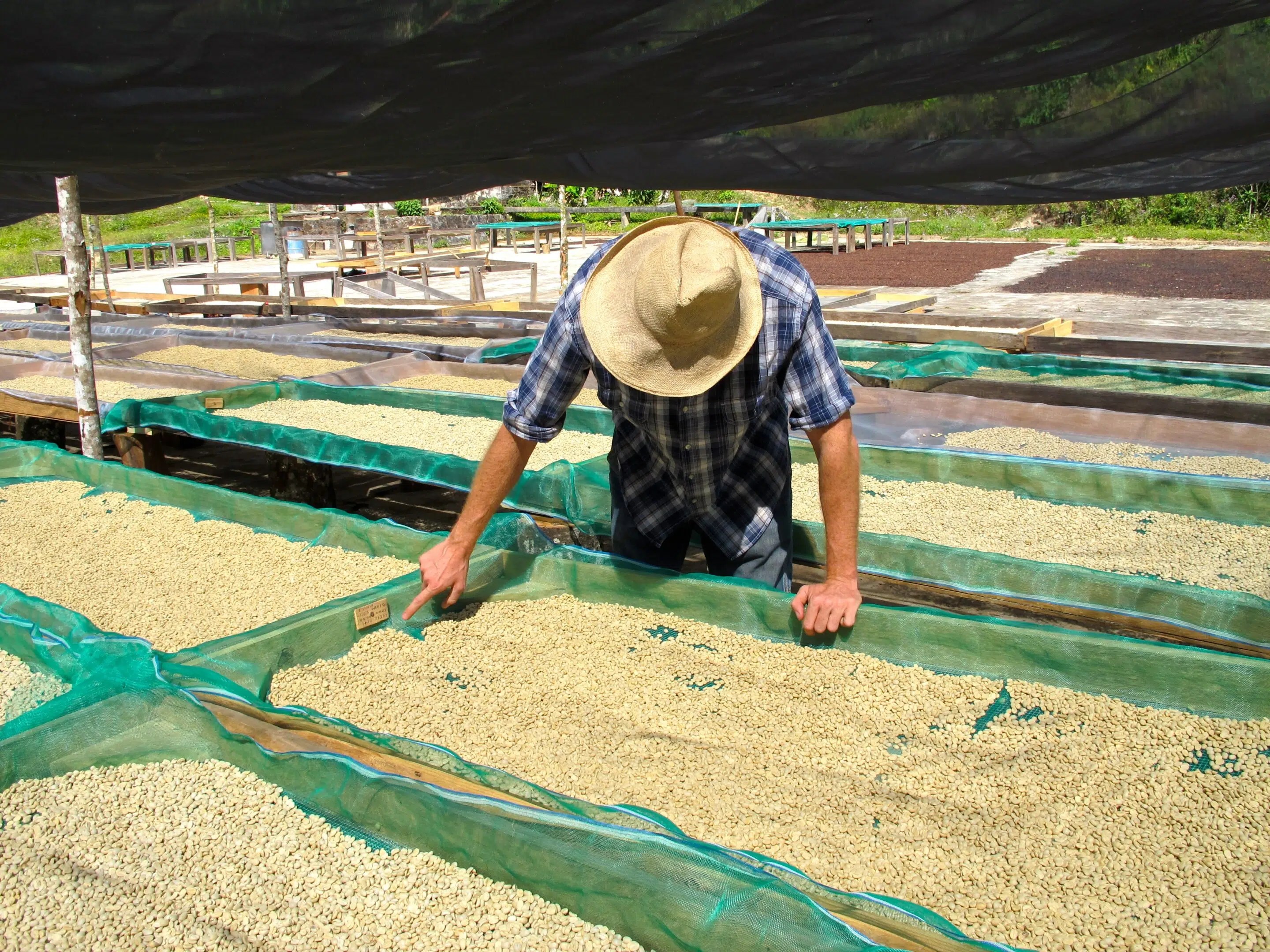 Popping my coffee farm cherry in Mexico by The Coffeevine