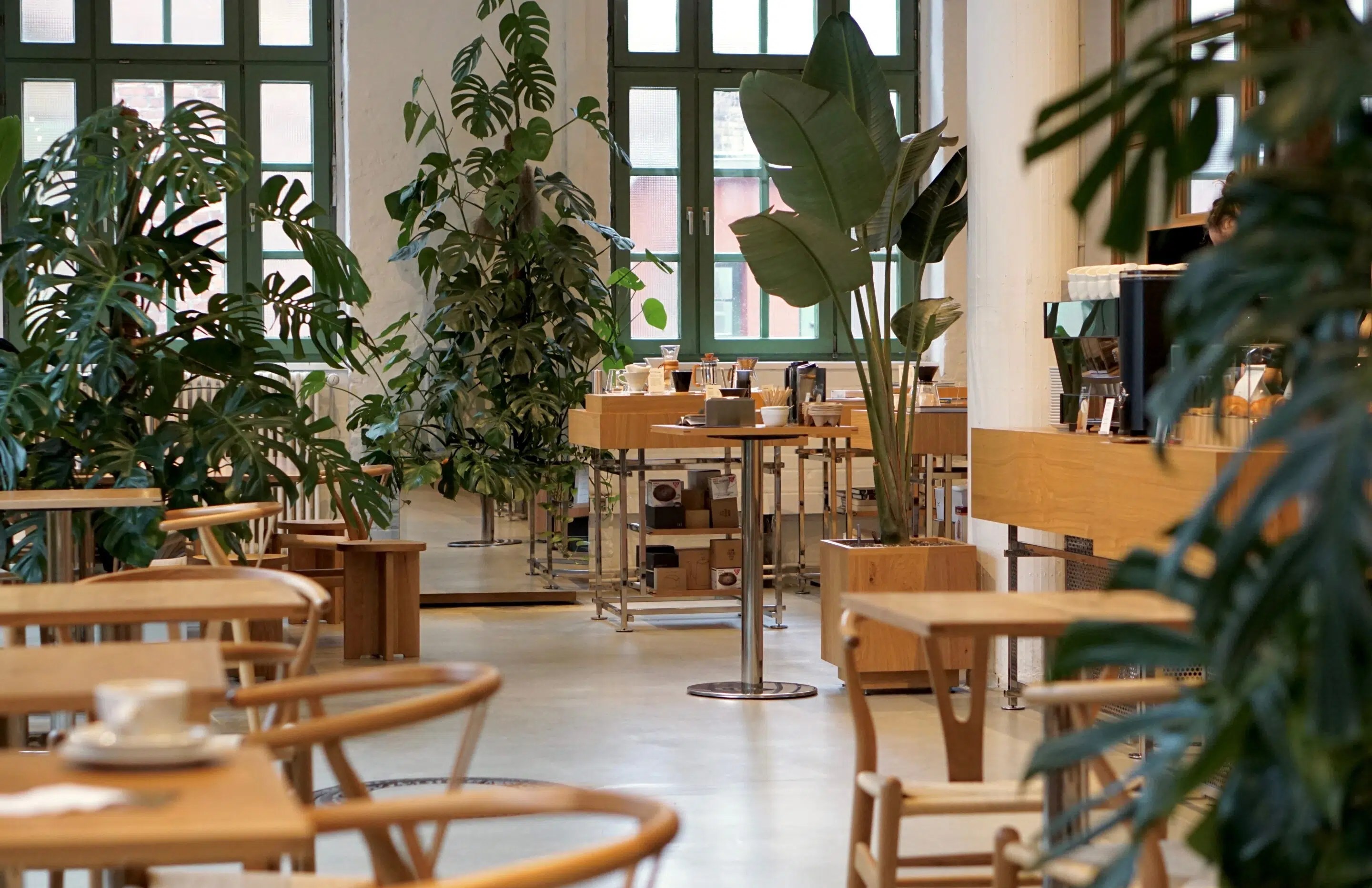 Bonanza Roastery Berlin reviewed by The Coffeevine