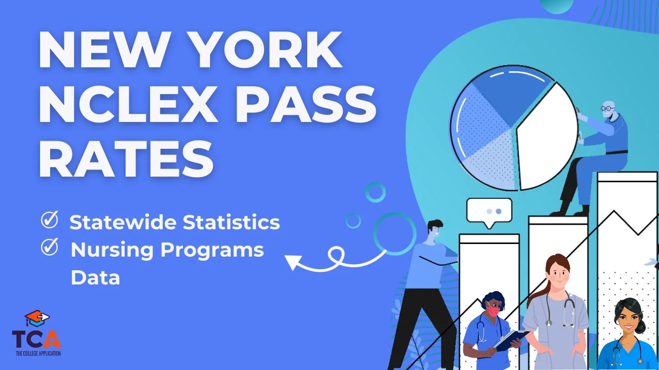 New York NCLEX Pass Rates A Deep Dive into the Statistics