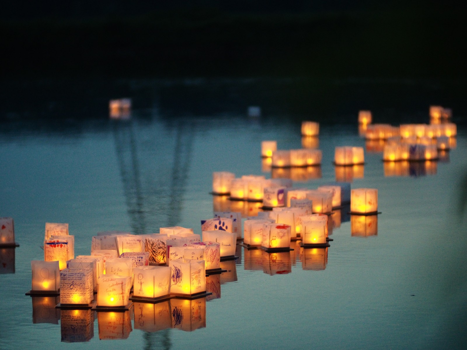 Water lanterns lit up the night at Millennium Park The Collegiate Live