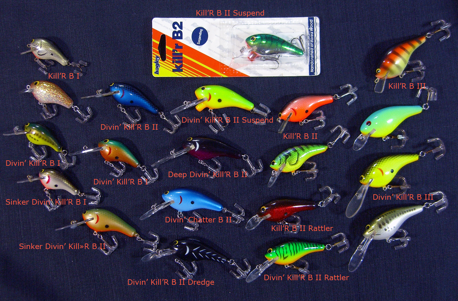 Bagley Killer B Series The Colors of Bagley's