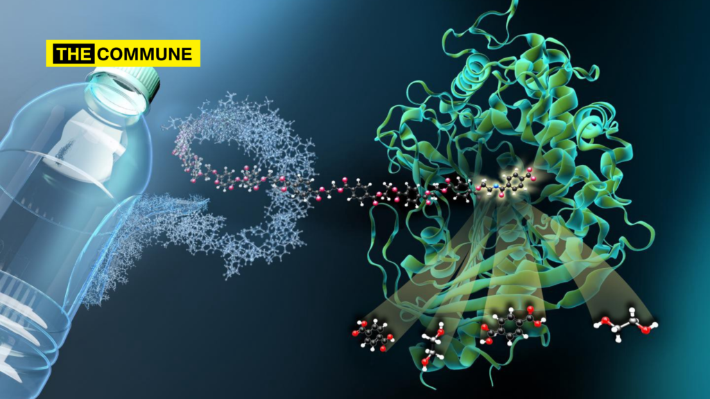 Scientists discover superenzyme that digests plastic in 6 hours The