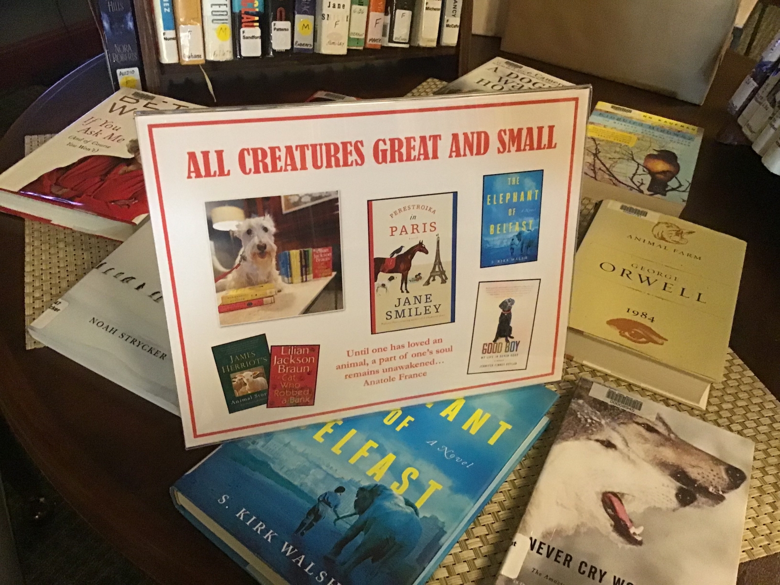 August Library Display The Complement