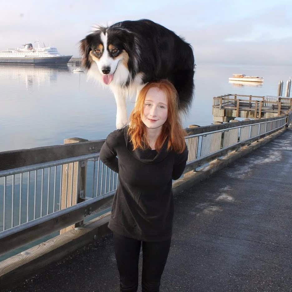 Everything You Want to Know About Secret The Complement