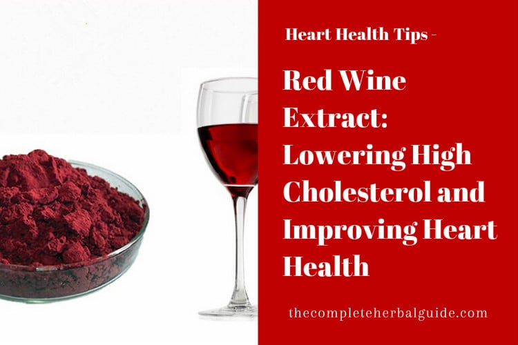 Red Wine Extract Lowering High Cholesterol and Improving Heart Health
