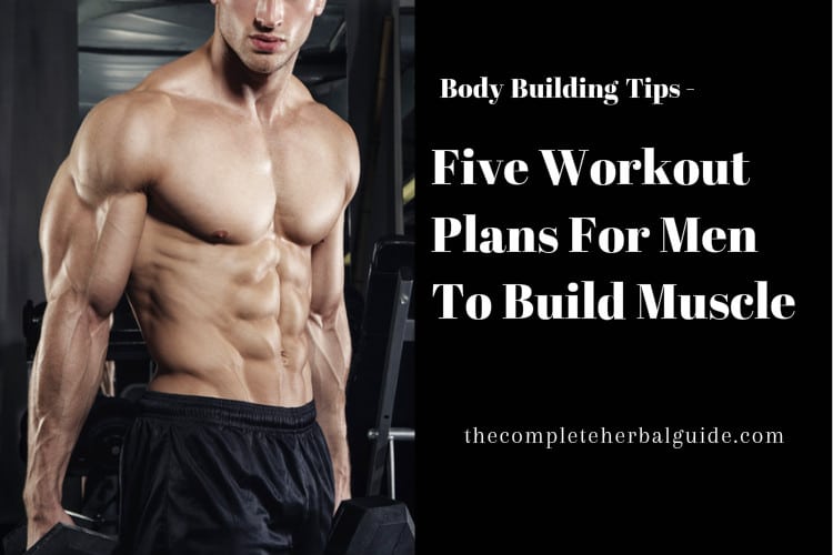 Five Workout Plans For Men To Build Muscle
