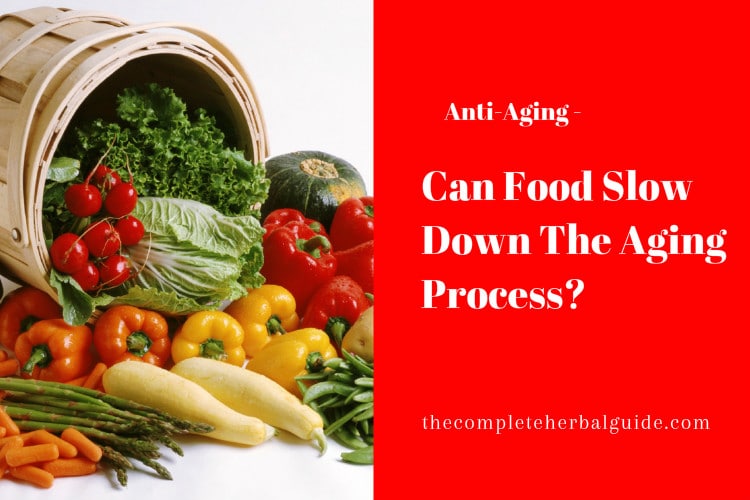 Can Food Slow Down The Aging Process?