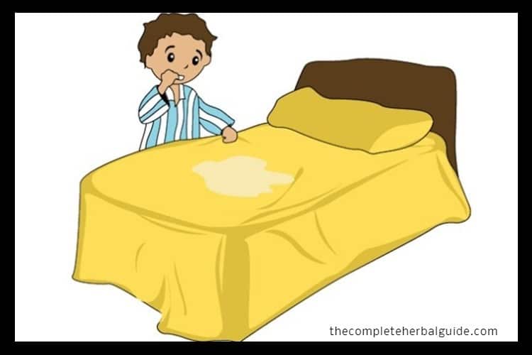 Natural Remedies for Bedwetting