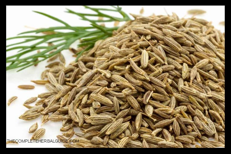 Herbal Remedies To Grow Hair Back On Balding forehead The Complete Herbal Guide