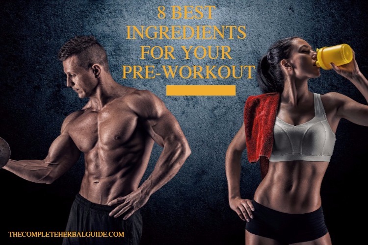 8 Best Ingredients for Your PreWorkout Health and Natural Healing Tips
