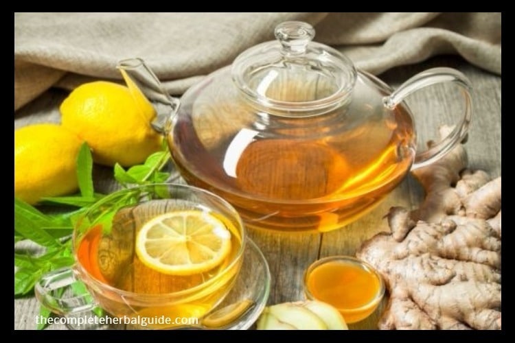 10 Best Herbal Tea for Headache Relief