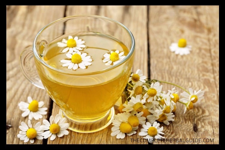 Soporific Herbs Top 15 Herbal Sedatives that Can Calm & Help You Get a