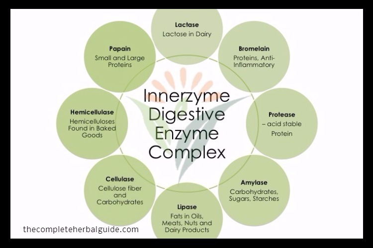 Digestive Enzymes The Complete Guide to Natural Healing