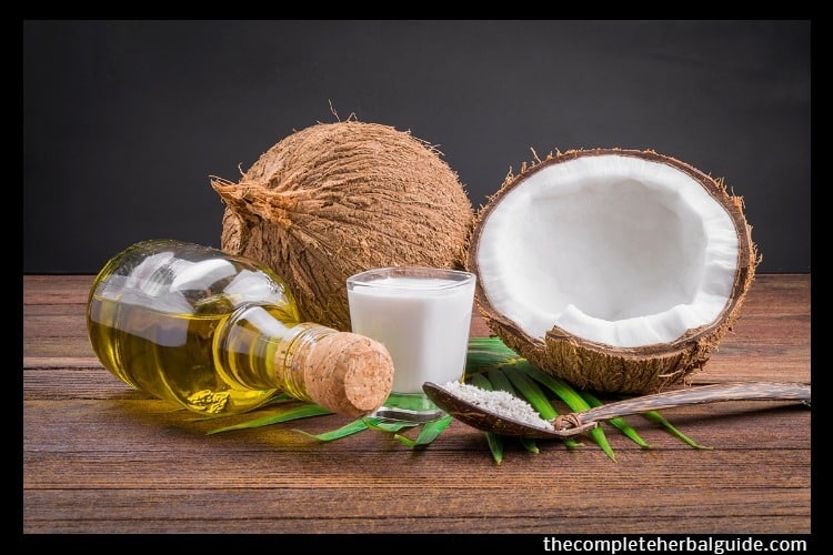 11 Benefits of Coconut Oil if You Have Dry Skin Health and Natural