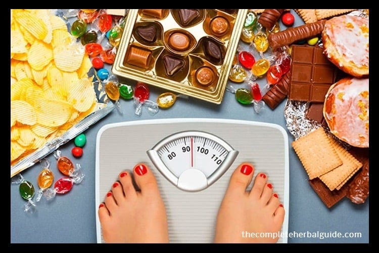 5 Simple yet Powerful Tips for a Food Addict Diet (And Effective Meal