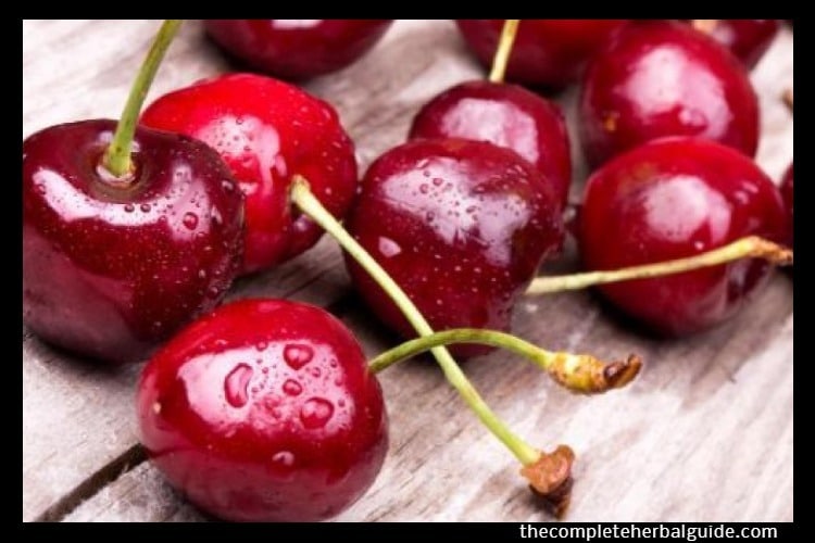 5 Healing Foods and Herbs That Help To Lower Muscle Pain Health and